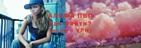 a pvp Бородино