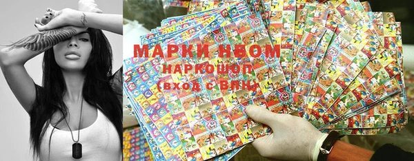 сатива Бронницы
