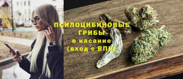 сатива Бронницы