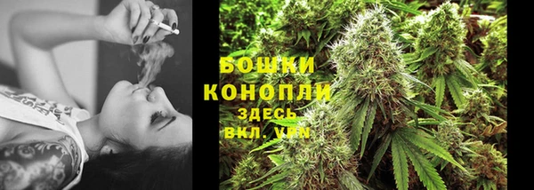a pvp Бородино