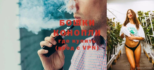 сатива Бронницы