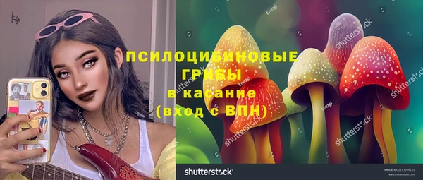 сатива Бронницы