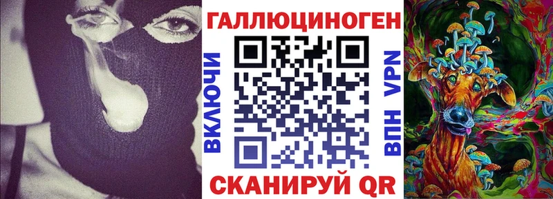 Псилоцибиновые грибы мицелий  дарнет шоп  Астрахань 